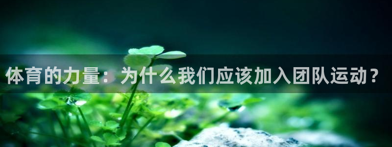 福建意昂机电股份公司