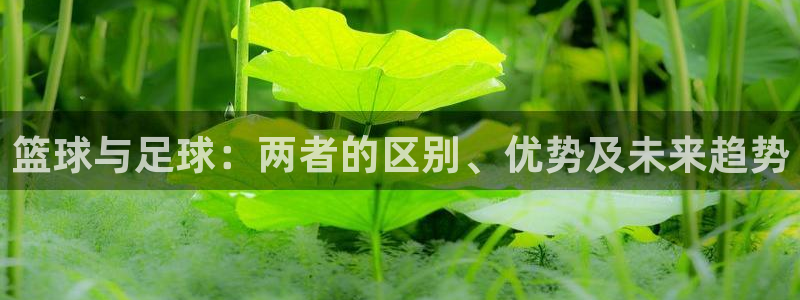 意昂体育