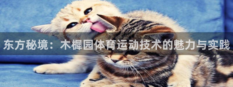 意昂体育官网