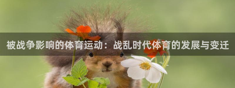 www.意昂体育.com
