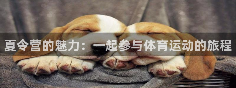 意昂的动画