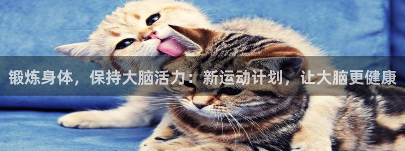 意昂3平台