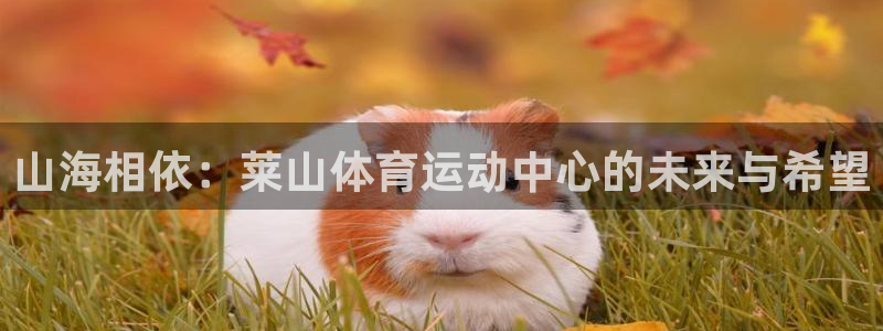 意昂招商