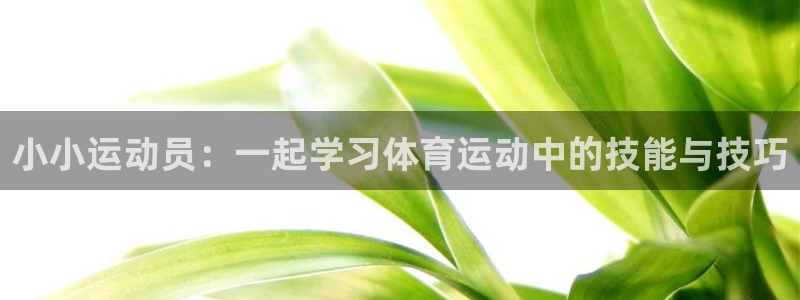 意昂4开户