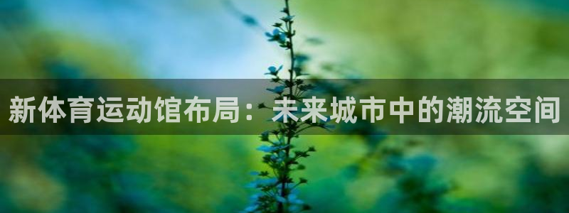意昂2体育
