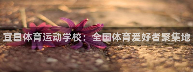 意昂包怎么样