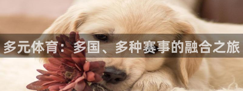 意昂3平台注册