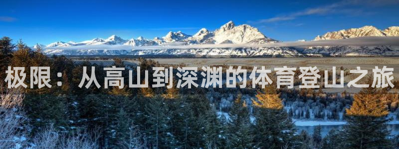 意昂体育官网登录