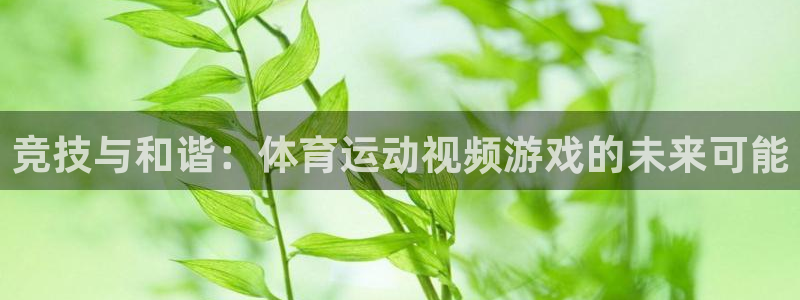 意昂包怎么样