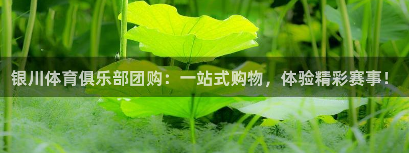 意昂登录