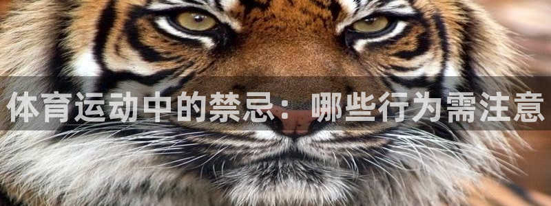 意昂代理注册官网入口
